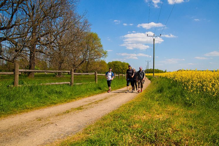 7-Seen-Wanderung in der Region Leipzig