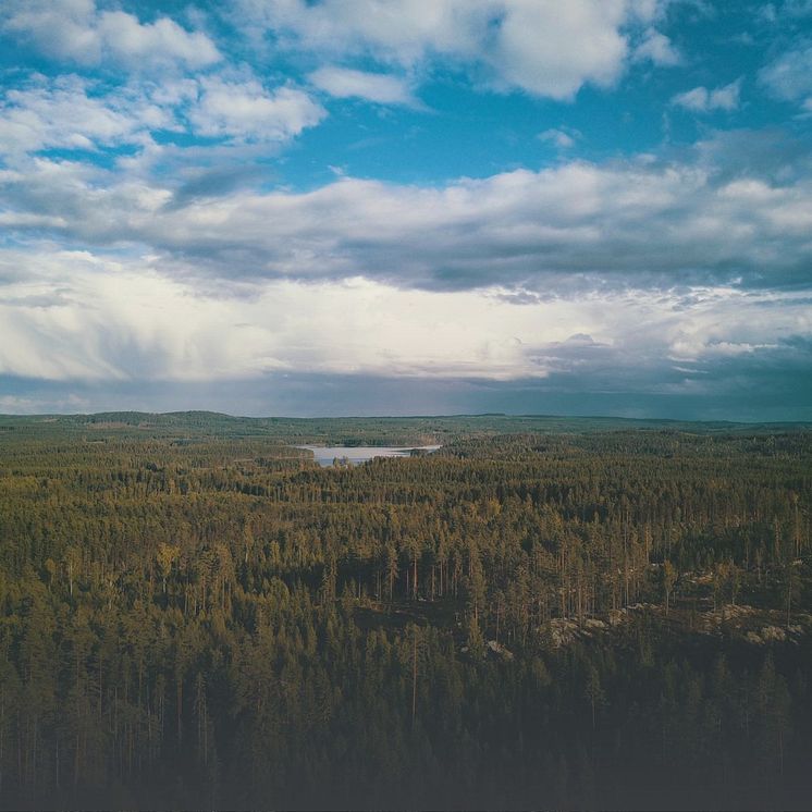 Nature_2