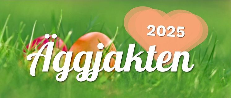 aggjakt.jpg