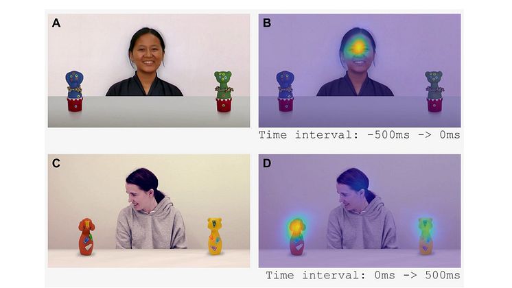Babylab eye tracking