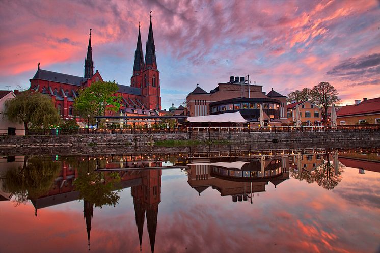 iStock-1158445378.jpg