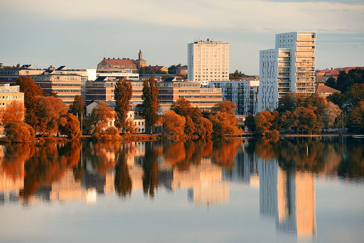 iStock-1194740252.jpg