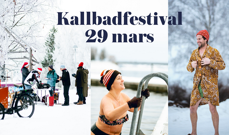 Skärmbild 2025-03-05 130829.png