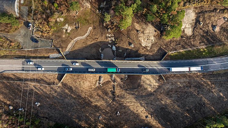 Landskapsbro över faunapassage i Partille - foto - Lisa Thanner.jpg