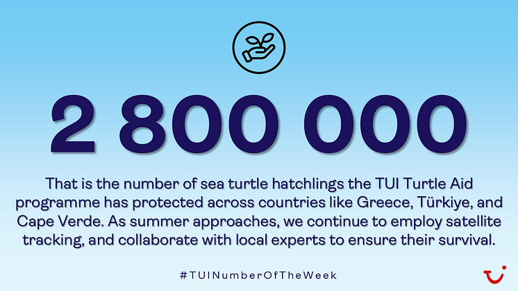 NOTW_TUI_TURTLE_AID