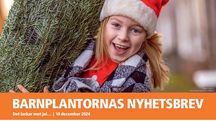 NYHETSBREV 24 ppt.jpg