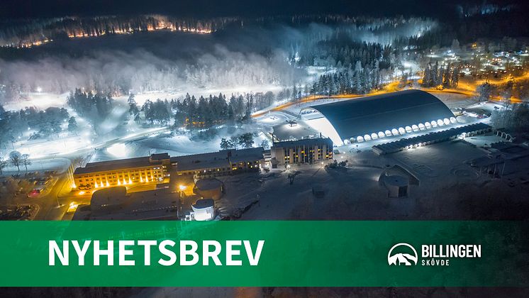 Toppbild Billingens nyhetsbrev 2024-november.jpg