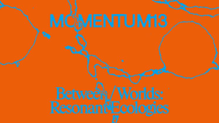 MOMEMTUM13-Presse.jpg