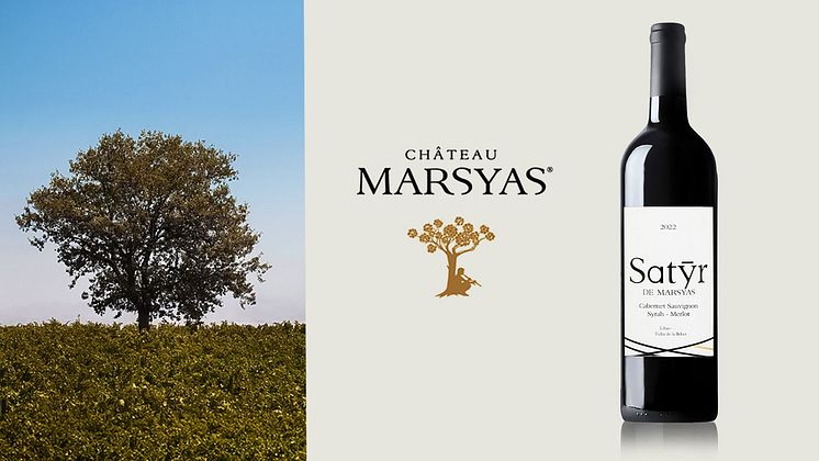 chateau_marsyas_satyr_2022.jpg