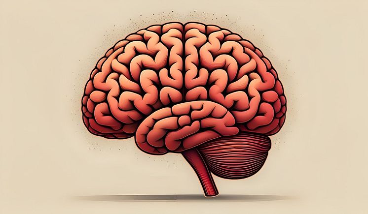 brain-8733719_1280.png