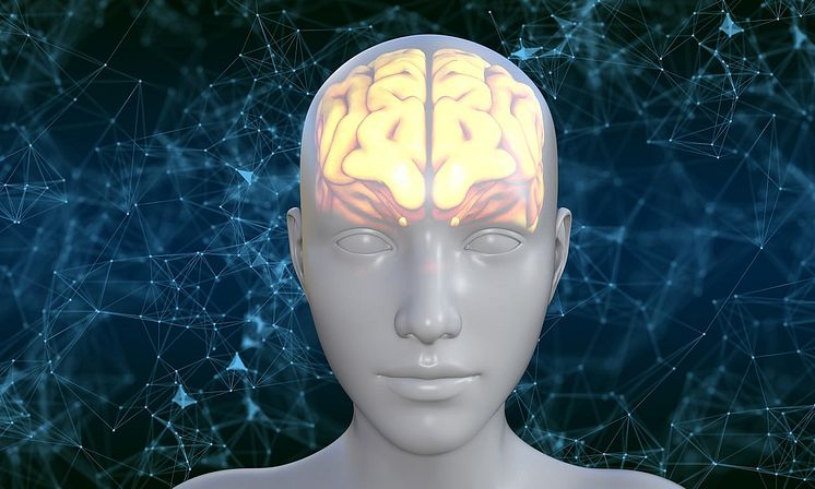 human-5937759_1280.jpg