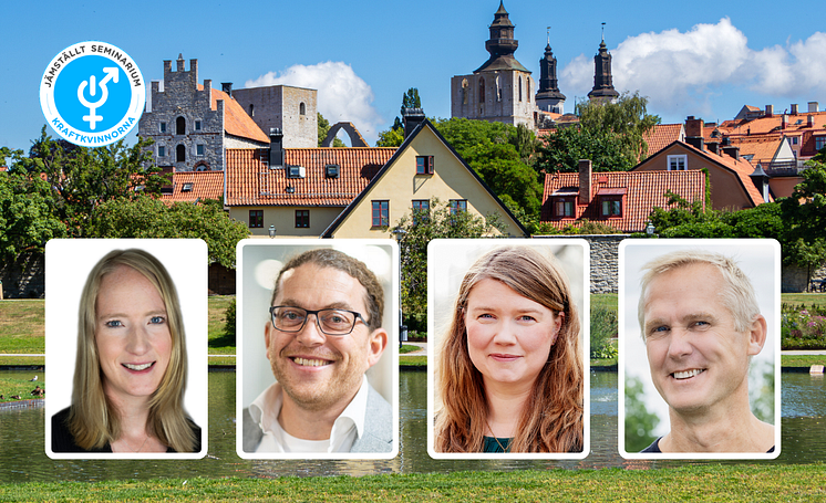 Almedalen Energikontoren Sverige.png