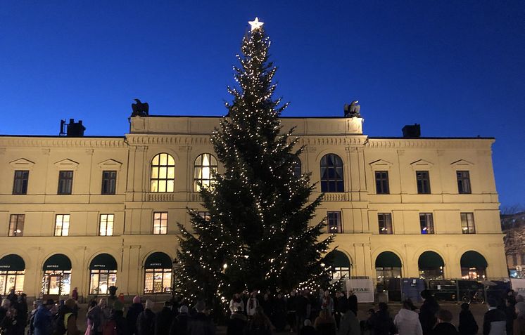 JULGRAN_2
