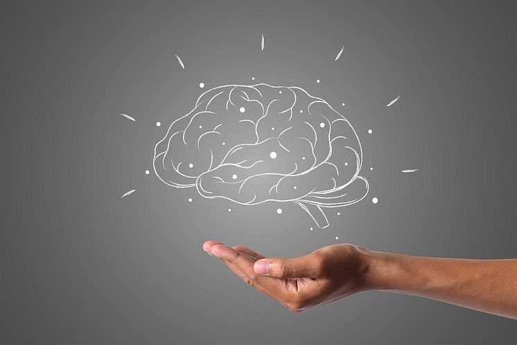 brain-4961452_1280.jpg