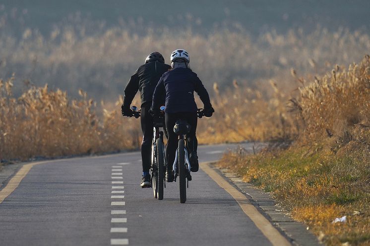 cyclists-5863353_1280.jpg