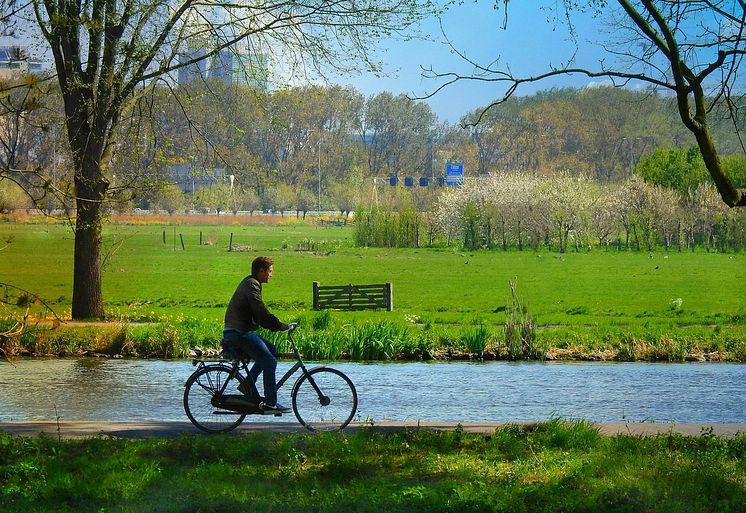 cyclist-5164608_1280.jpg