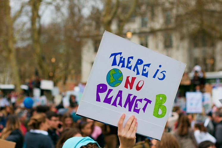demonstration-4193109_1280.jpg