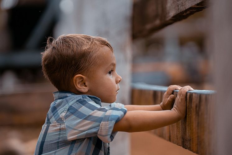 boy-8209561_1280.jpg