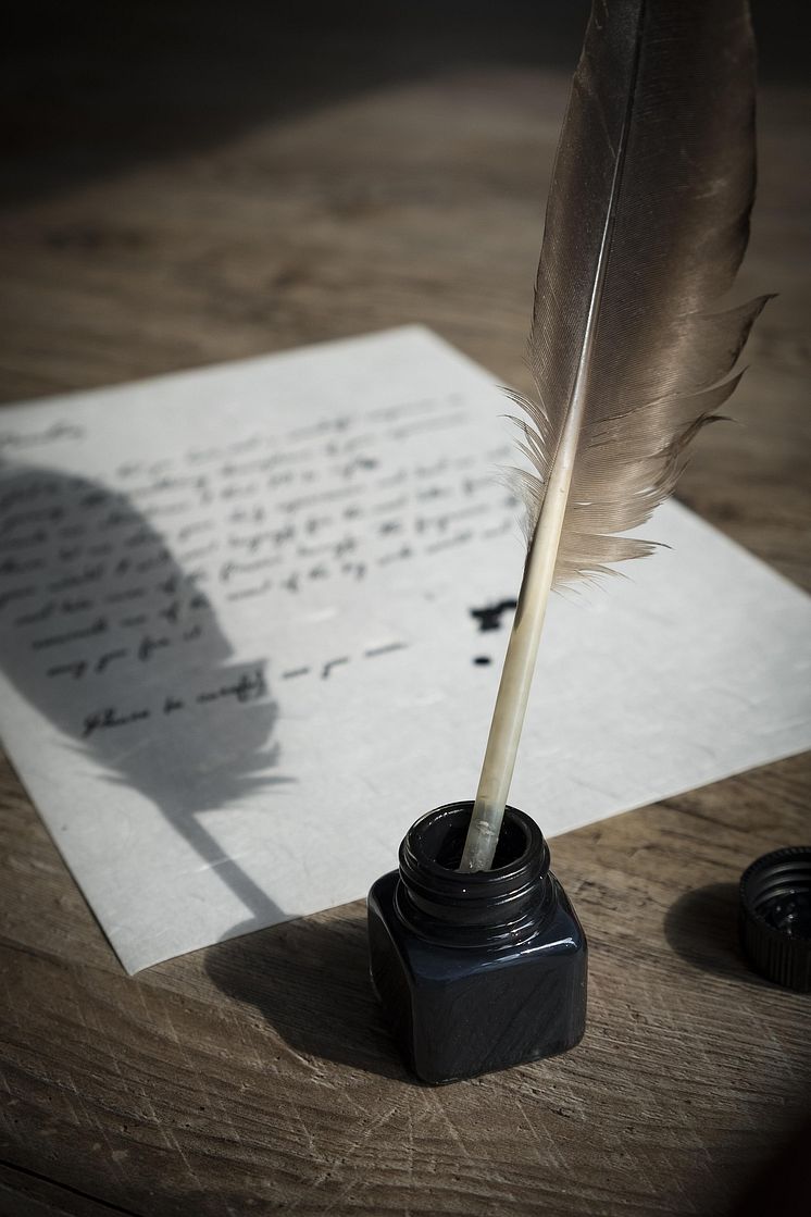 bird-feather-2505307_1920.jpg