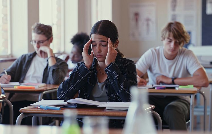 Elever skola.jpg