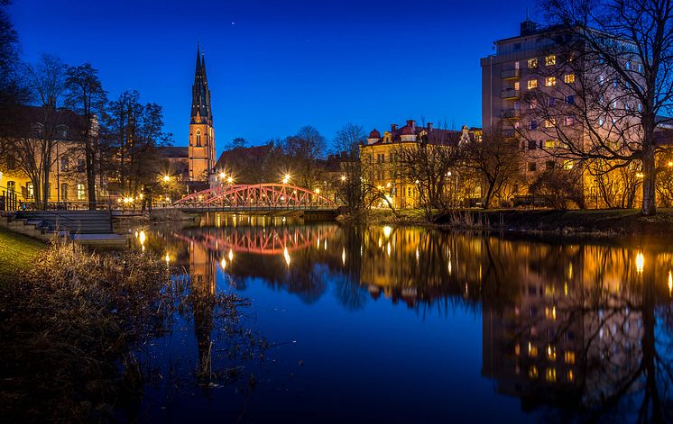 Uppsala 2025-2.jpg