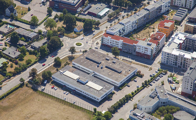 Vildanden.png
