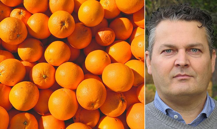 Magnus Berndtsson_Svenska Juiceforeningen