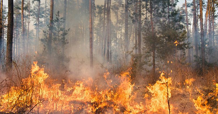 Geografisk data avgörande för brandbekämpning