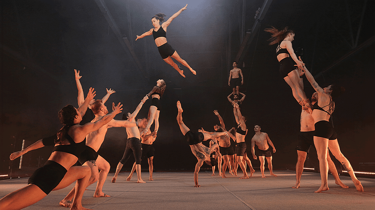 The Genesis, Copenhagen Collective