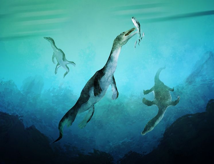 Reconstruction of Nothosaurs