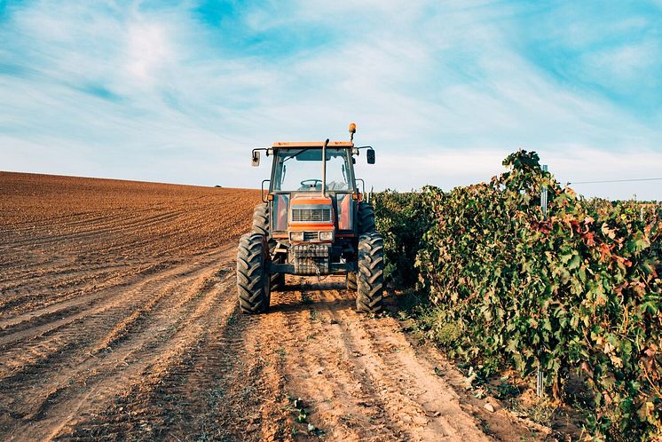 tractor-vineyard_truck1.jpg