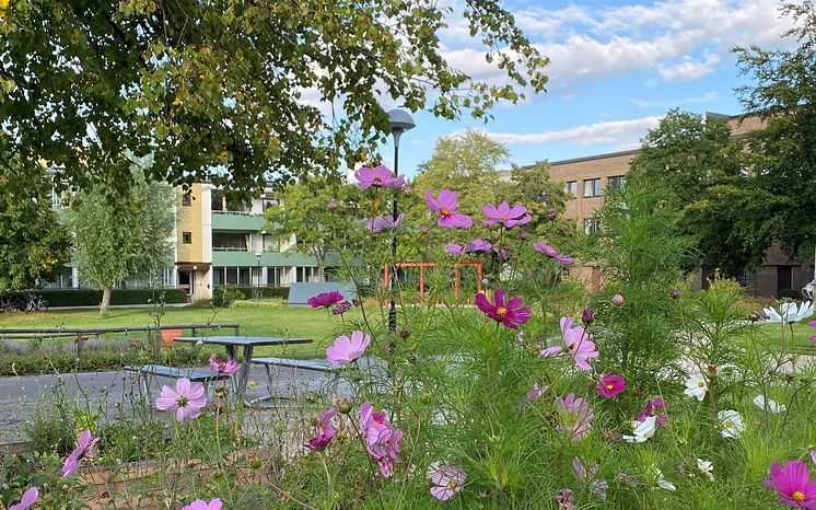 Hållbart miljonprogramområde.jpg