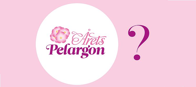 Årets Pelargon Avslöjas 15.jpg