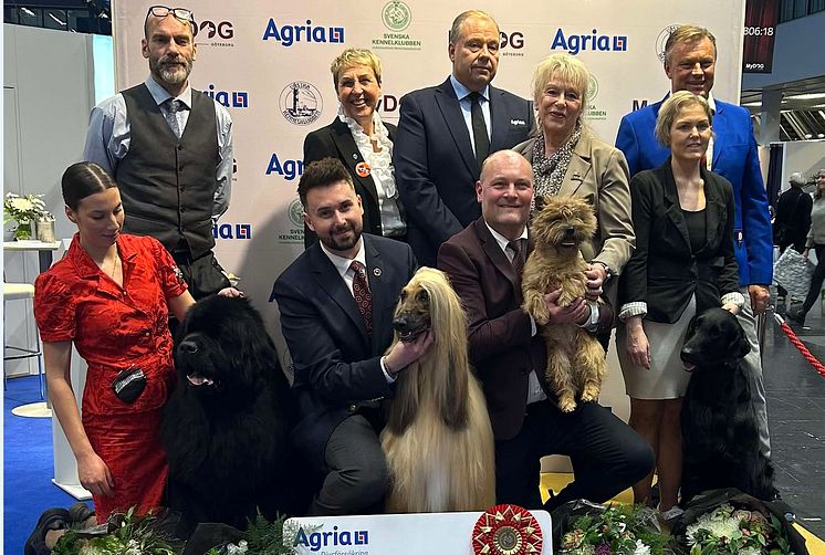 Finalister Årets Utställningshund 2024.jpg