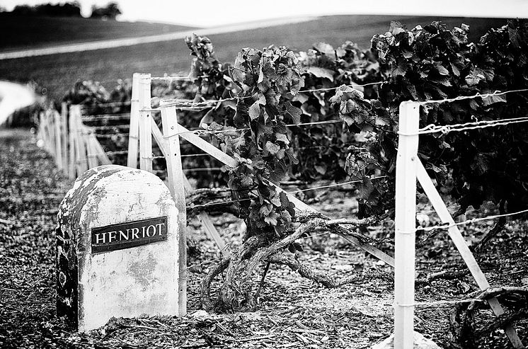 Henriot Champagne.jpg