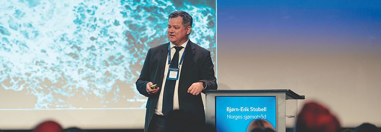 Bjørn-Erik Stabell, wide.jpg
