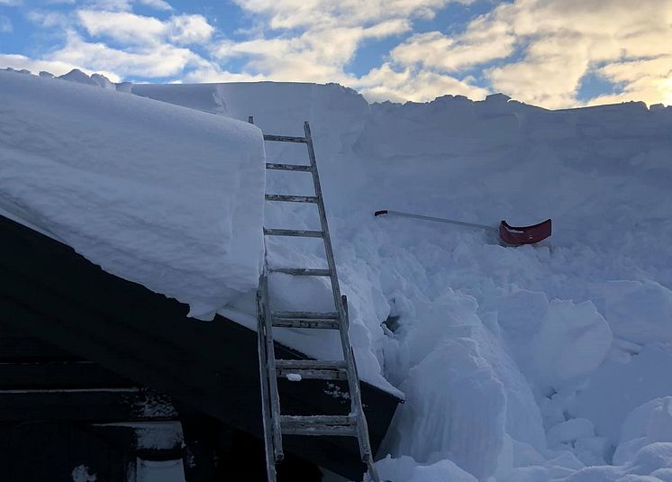 Snø på tak