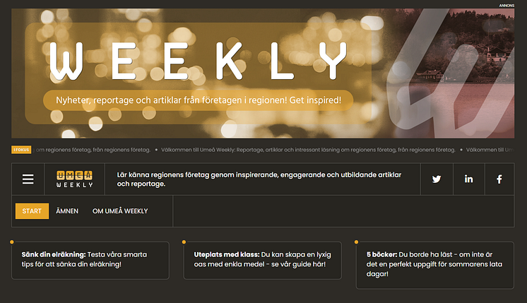 Umeaweekly.se.PNG
