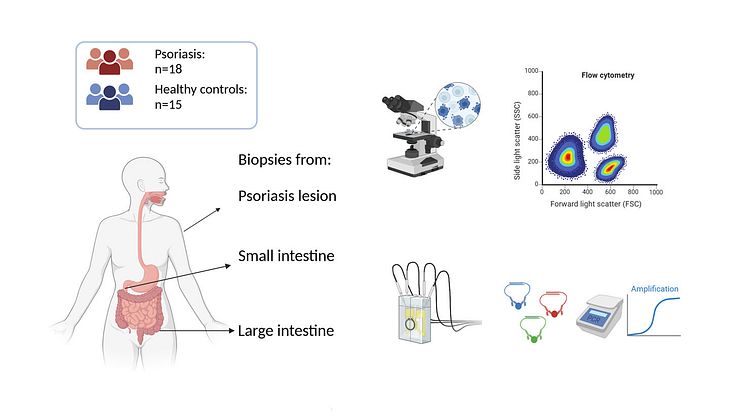 Psoriasis illustration