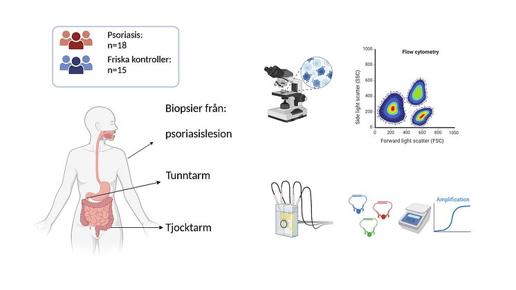 Psoriasis illustration.