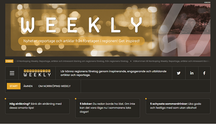 Norrkopingweekly.se.PNG
