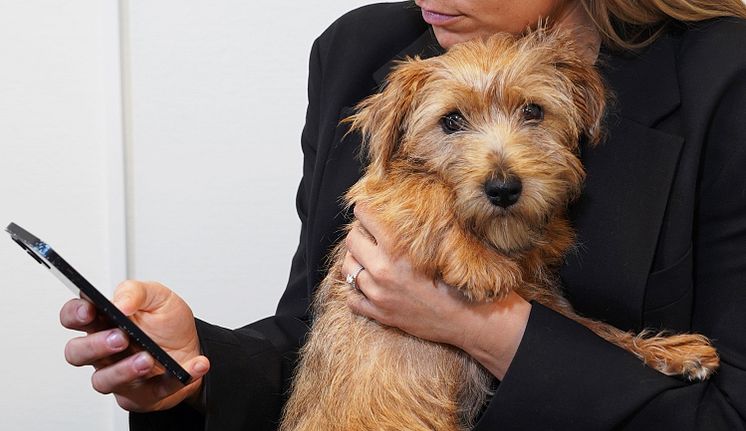 SvelandDistriktsveterinärerna.jpg