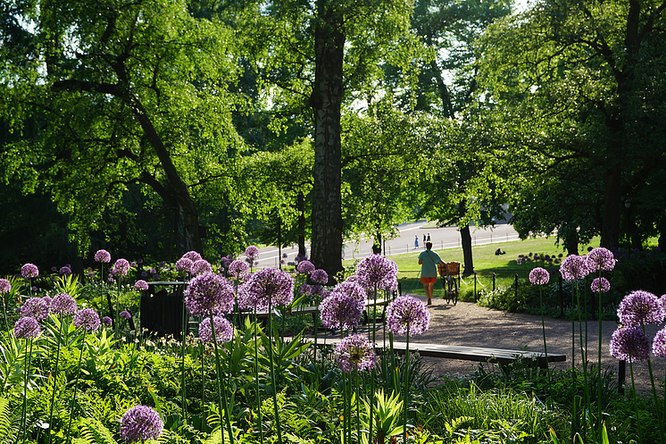 Sommer i slottsparken.png