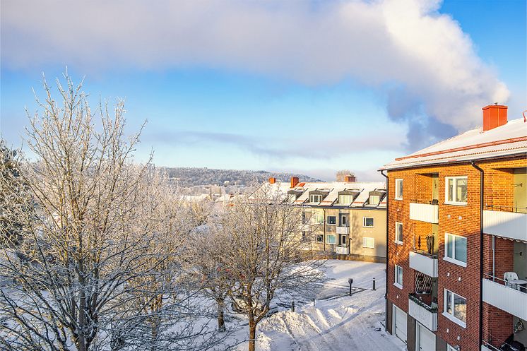 Hyresrätter i vinterskrud.jpg