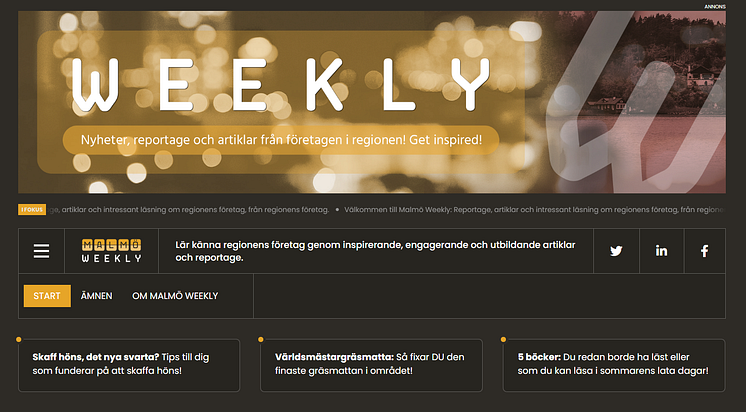 Malmoweekly.se.PNG