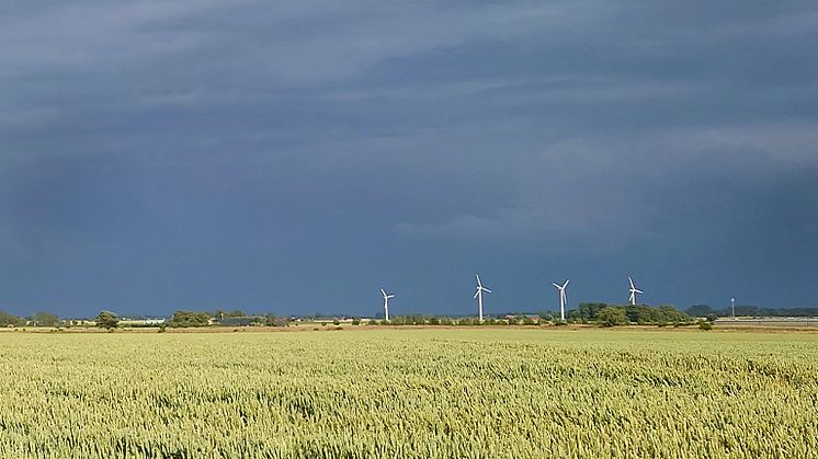 Regn på väg_höstvete i Skåne.jpg