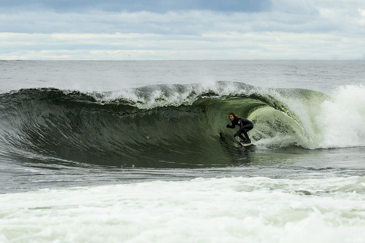 Surfare.jpg