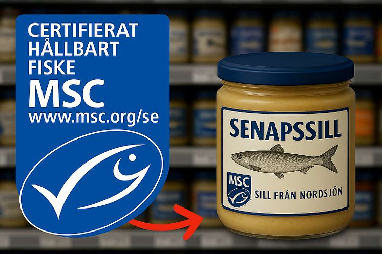 sillbild_msc_komprimerad.jpg