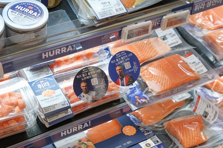 Salmon_Photo_Noregian Seafood Council.jpg