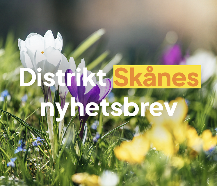 Banner till MyNewsDesk vår.png